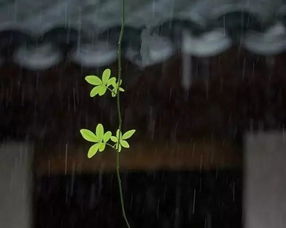 一场秋雨一场凉的下一句怎么说?