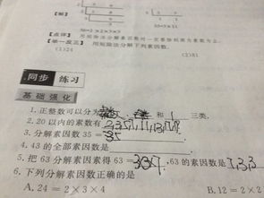 43的因数有哪些?