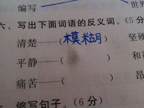 平静的反义词平静的反义词是什么呢标准答案