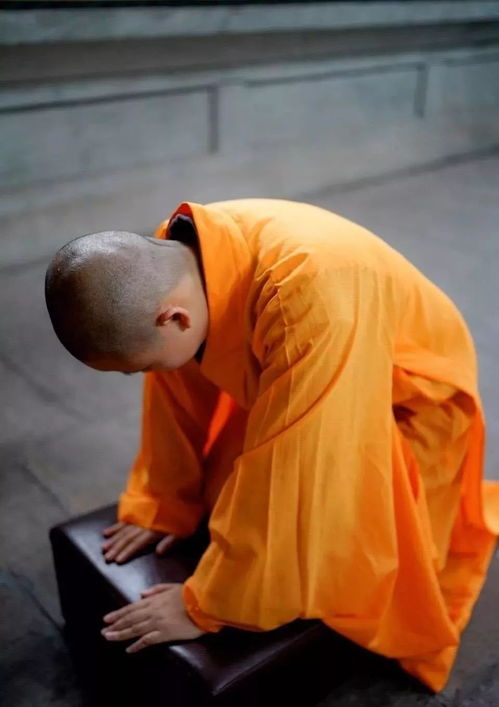 亦或意想对西方极乐世界所有佛磕头拜忏