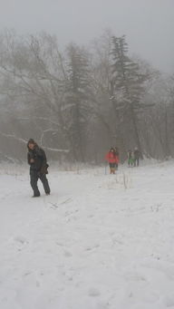 艳阳天真能大雪纷飞吗?