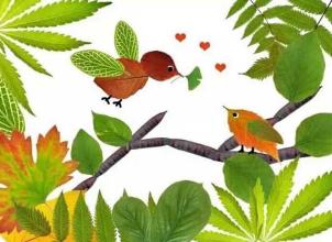 什么是树叶贴画