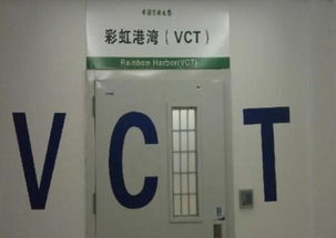 VCT门诊的服务主用内容