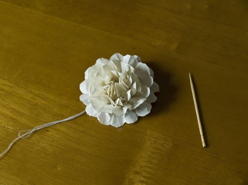 自制小白花简单的图片