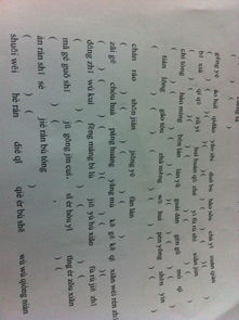 按,式,振,他们的拼音是什么?