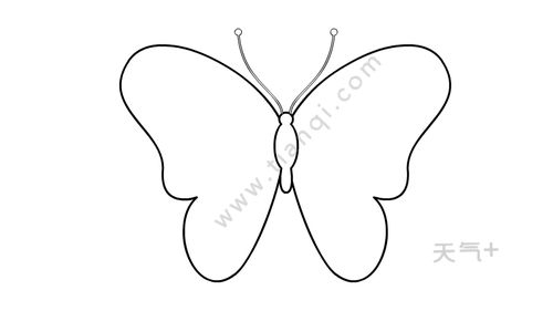 蝴蝶的最简单画法图片