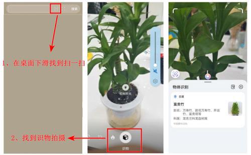 一,华为手机扫一扫识别植物 华为手机具有自带的识别植物的