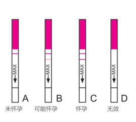 验孕试纸怎么使用