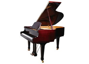 需要买钢琴,问下,到哪里去购买呢?什么品牌比较好?