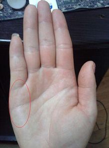 什么是三角纹手相