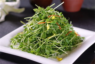 如何做出好吃的炒豌豆苗?