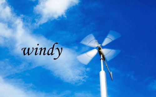 windy怎么读windy怎么读英语