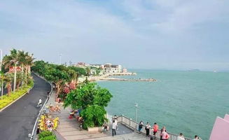 有哪些是厦门必去的旅游景点?