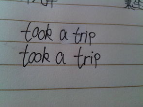 trip是什么意思trip是什么意思汽车仪表盘上