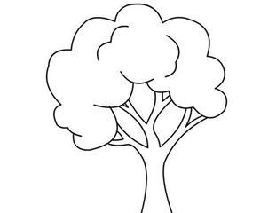 树怎么画简单又好看?