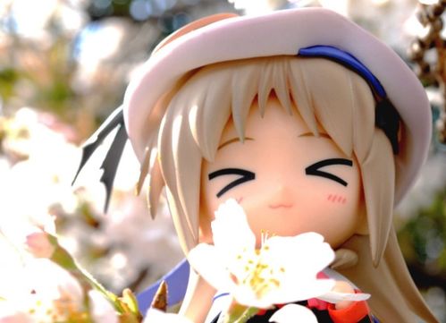 樱花通信动画樱花通信动画哪里看