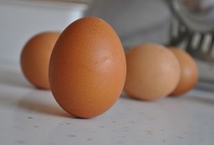鸡蛋竖起来的图片图片