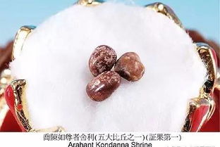 真正舍利子图片(真正舍利子图片真实)_竞价网