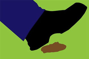 我大年初一早上穿着新鞋就踩到了狗屎,这是什么意思?