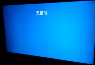 电脑显示屏经常显示无信号,是怎么回事?