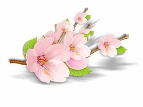 桃花粉红粉红的像什么桃花粉红粉红的像什么