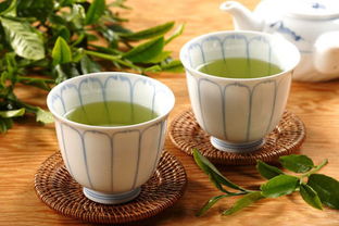 把茶叶放在水里能杀菌吗（把茶叶放在水里能杀菌吗为什么）《茶叶放水里烧可以吗》