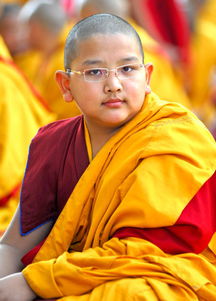 堪布和仁波切的区别活佛和仁波切的区别