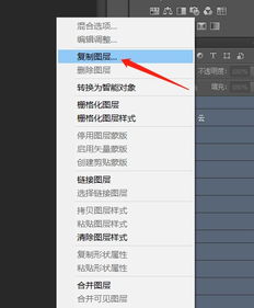 ps储存显示程序错误怎么办