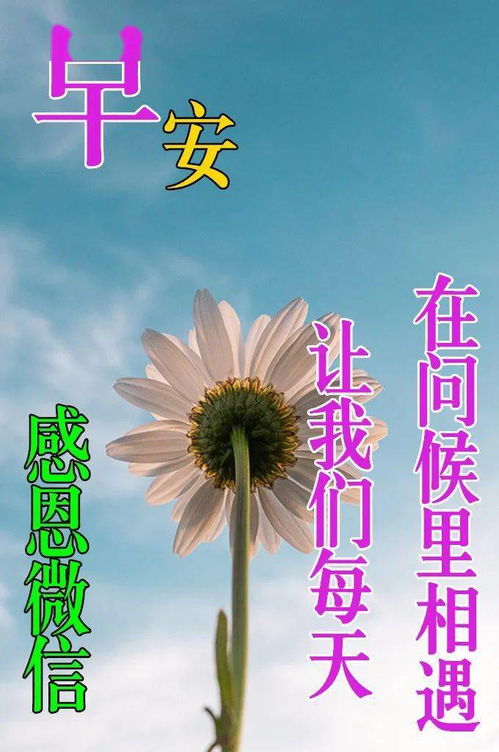 大于,不大于,小于,不小于的区别