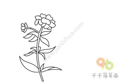 草怎么画好看草怎么画好看而又简单图片