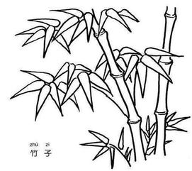 竹子怎么画
