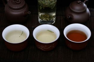 过夜的茶叶还能喝吗