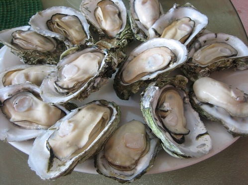 生蚝和牡蛎的区别生蚝和牡蛎的区别图片