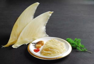 鱼翅的泡发鱼翅的泡发方法如下怎么泡成丝