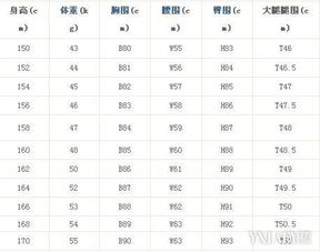 女性的标准臀围是多少?