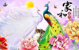 如图一,阳历1965年1月1日-1965年2月1日,生肖是甲辰年:龙.