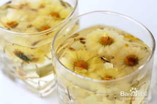 长期喝菊花茶,对身体有哪些好处?