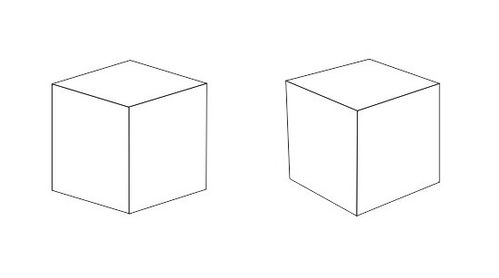 长方体有几条棱.哪些棱长度相等