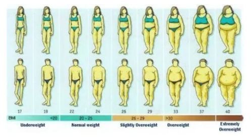 体脂率怎么算体脂率怎么算公式