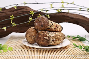 松茸菌和松茸有什么不同?