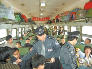 网上追逃的条件