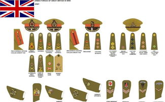 英国陆军军衔标志图片