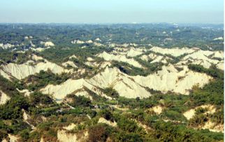 湖南花恒属于哪个市