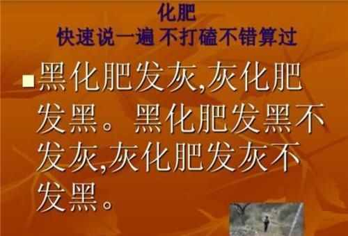 黑化肥会发黑 绕口令的完整版是什么?
