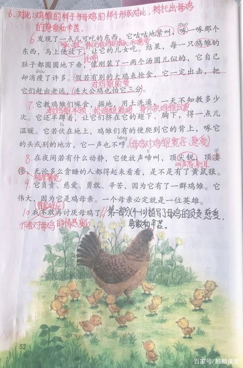 母鸡课文母鸡课文笔记