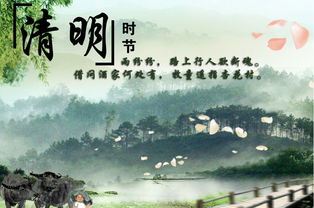 “清明时节雨纷纷”的下一句诗词是什么?