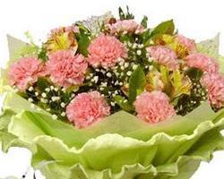 康乃馨代表什么意思?