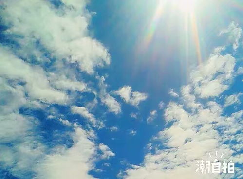 【反义词】:天寒