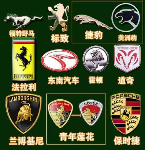 狮子车标