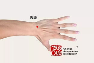 阳池穴位置和功能是什么